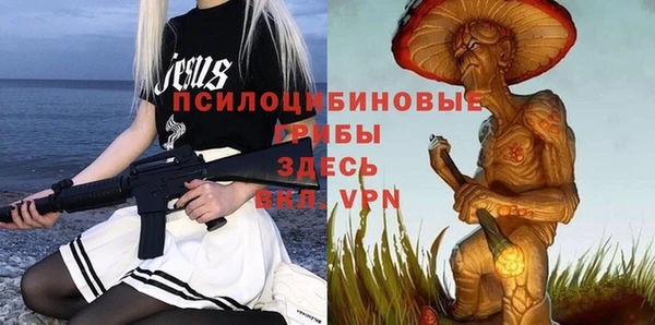 шишки Абдулино