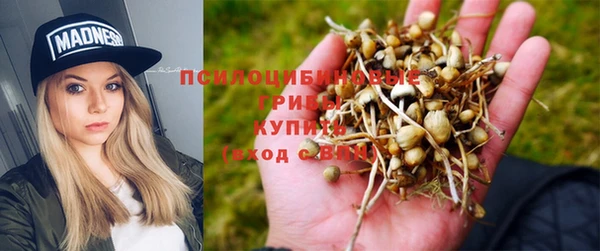 гидра Абаза