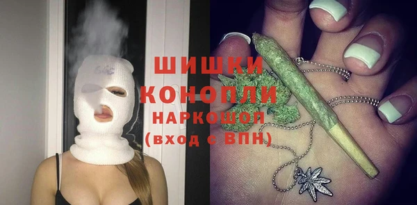 гидра Абаза