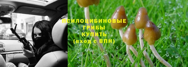 шишки Абдулино
