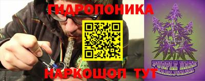 трава Новокубанск