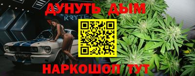стаф Новозыбков