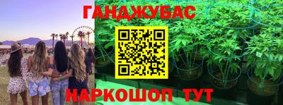 стаф Новозыбков